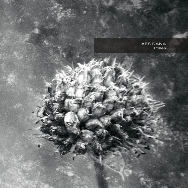 AES DANA | Pollen – CD/Digital/2xLP (Ultimae Records)