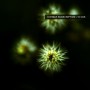 ULTIMAE SUBSCRIPTION | 10 CDs (Ultimae Records)