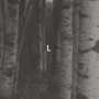 DAG ROSENQVIST | Elephant (Dronarivm) - CD