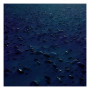 TOBIAS HELLKVIST | Vesterhavet - Extended (Home Normal) - CD