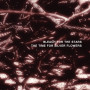BLEACH FOR THE STARS | The Time For Silver Flowers (Cromlech Records) - CD