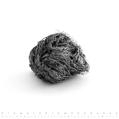 VARIOUS ARTISTS | Flowers From The Ashes: Contemporary Italian Electronic Music (Stroboscopic Artefacts) - CD/LP
