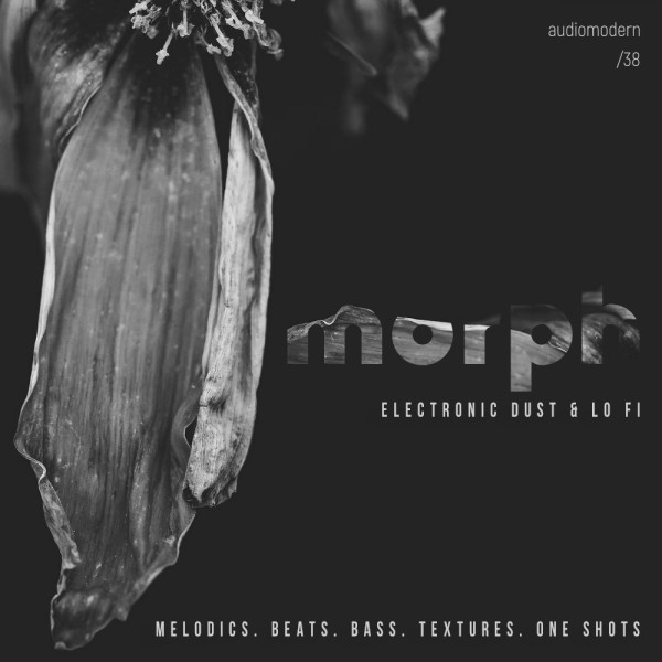 MORPH | Sample Pack (Audiomodern)