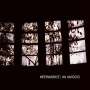 IAN HAWGOOD | Impermanence (Slowcraft Records) - CD