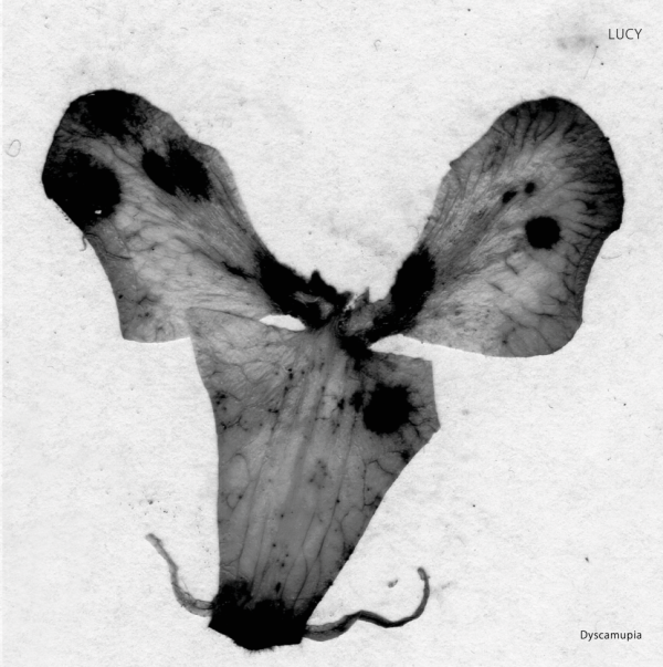 LUCY | Dyscamupia (Stroboscopic Artefacts) – EP