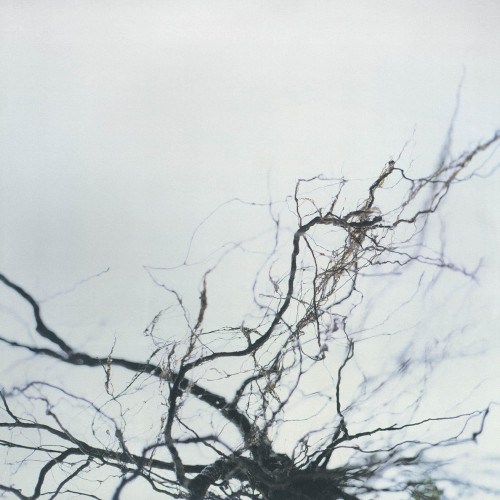 YUTAKA HIROSE | Nova + 4 (WRWTFWW Records) - 2xLP/2xCD