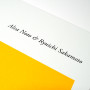 ALVA NOTO & RYUICHI SAKAMOTO | Two (Live At Sydney Opera House)