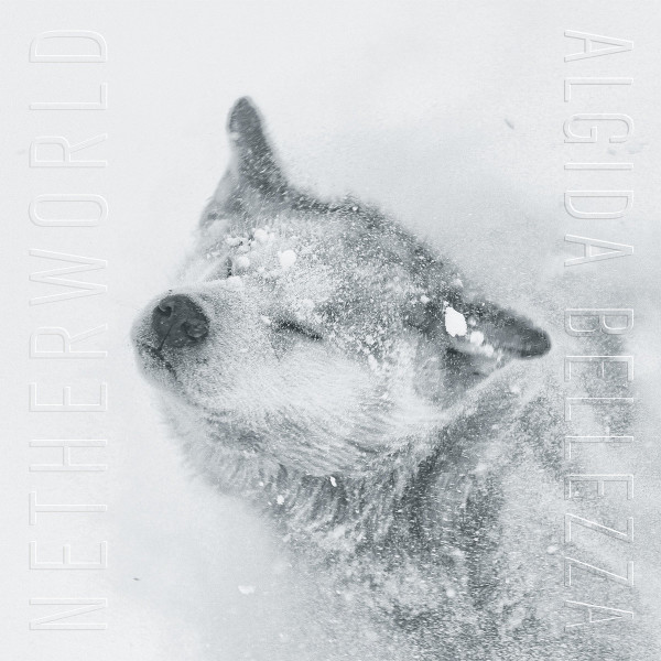 NETHERWORLD | Algida Bellezza (Glacial Movements) – CD