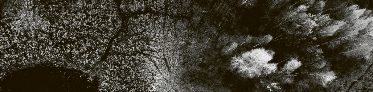 MARTIN NONSTATIC | Treeline – 100th Ultimae Release Out Now