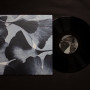 MARTIN NONSTATIC | Vyana EP (Ultimae) - EP/DIGITAL