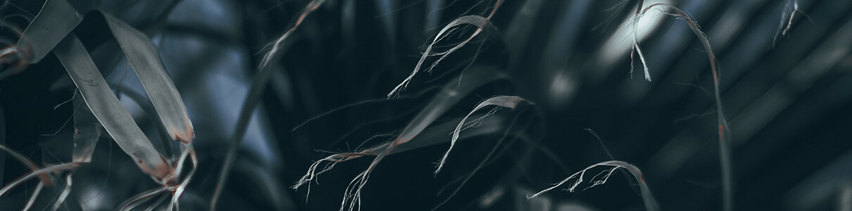 CHRISTIAN SAMSARA New Mix | KKUM Episode 28