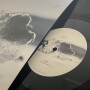 erot-gneiss-vinyl-03