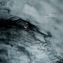 AES Dana_Interstice