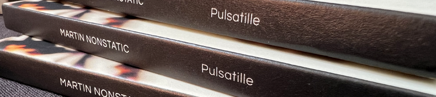 martin-nonstatic-pulsatille-CD-out-now-Ultimae