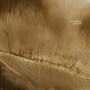 inre034-3-AES-DANA-Leylines-Remaster-2025