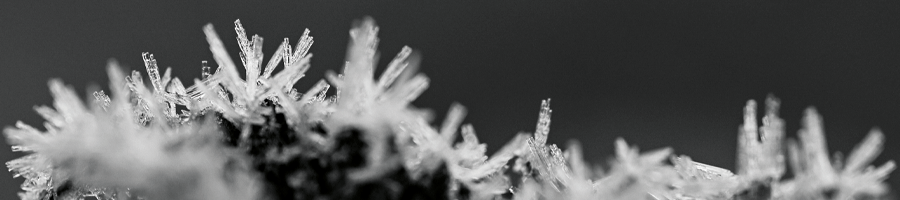 xmas-holiday-2025-Ultimae-post