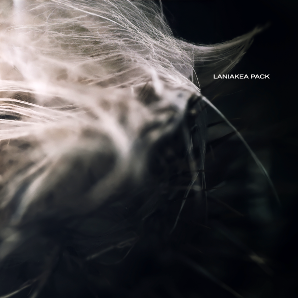 LANIAKEA-PACK