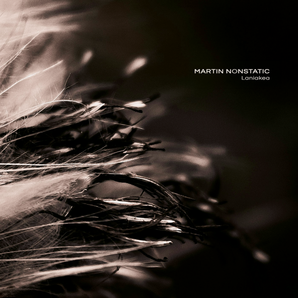 inre116-MARTIN-NONSTATIC-Laniakea-Artwork