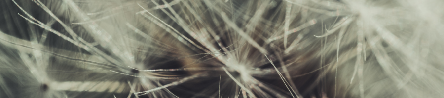News Banner (1)