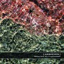 VA - AMBROSIA | Selected by Fishimself - Download 16/24bit - CD (Ultimae Records)