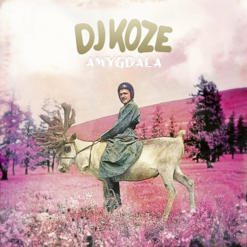DJ KOZE | Amygdala (Pampa Records) - CD