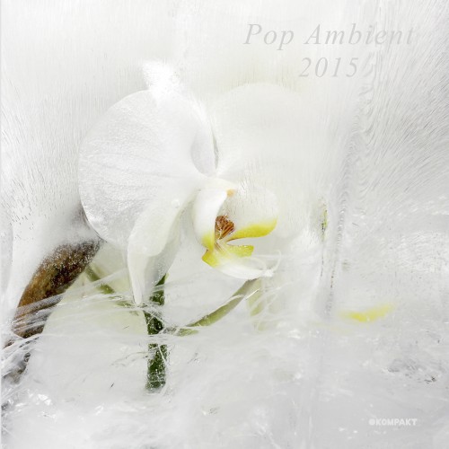 Pop Ambient 2015 - Various artists - ( Kompakt)